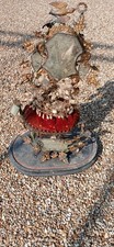 Ancienne garniture globe d'occasion  Longué-Jumelles