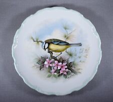 royal albert bird plates for sale royal albert bird plates for sale ANDOVER