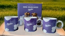 Tasses milka livret d'occasion  Concarneau