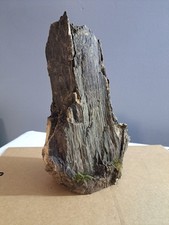 Rust broke ash for sale  Rockford