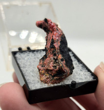 Realgar thumbnail mineral for sale  Olympia