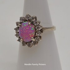 harlequin opal for sale harlequin opal for sale Capac