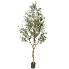 Artificial olive tree for sale  Ashford
