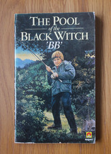 Pool black witch for sale  TORRINGTON