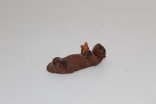 Miniature otter laying for sale  Eaton