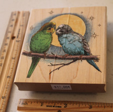 Budgies parakeet love for sale  Midland