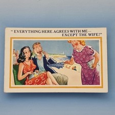 Comic postcard c1965 for sale  TELFORD