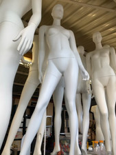 Hochwertige stehende schaufens gebraucht kaufen  Duisburg