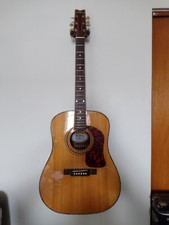 Washburn dk20t acoustic for sale  Woodburn