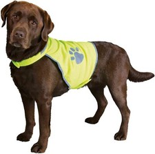Trixie safety dog for sale  EASTBOURNE