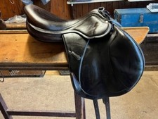 Amerigo vega jumping for sale  NORTHALLERTON