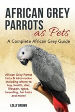 African grey parrots for sale  Minneapolis