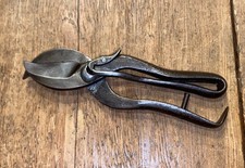 Vintage parrot beak for sale  ASHBOURNE