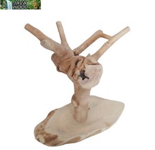 Java wood tiny for sale  CHORLEY