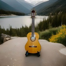 Cordoba 30f guitar for sale  Stockton