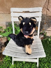 Peluche souple chien d'occasion  Saint-Désiré