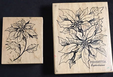 Christmas botanical poinsettia for sale  CUPAR