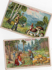 126 493 sammelbild gebraucht kaufen  Prösen