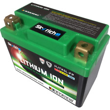 SKYRICH Bateria de litio con indicador de carga LITX5L comprar usado  Enviando para Brazil