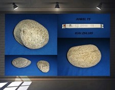Deko steine aquarium gebraucht kaufen  Kranichfeld