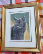 Stephen gayford dark for sale  GRANTHAM
