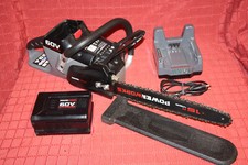 Powerworks akku kettensäge gebraucht kaufen  Altstadt,-Andershof,-Devin