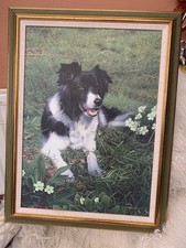 Steven townsend black for sale  LISKEARD