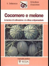 Cocomero melone tecnica usato  Italia