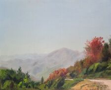 Silvestro pistolesi paesaggio usato  Napoli