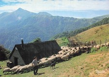 Iraty vieux cayolar d'occasion  France