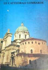 Cattedrali lombarde piva usato  Italia