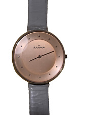 Skagen skw2139 damen gebraucht kaufen  Naumburg