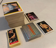 Merlin wwe 1993 gebraucht kaufen  Bottrop