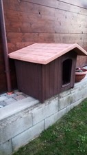 Casetta cuccia plastica usato  Lari