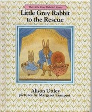 little grey rabbit for sale little grey rabbit for sale DUNFERMLINE