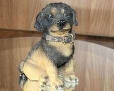 Vtg rottwiler puppy for sale  Louisville