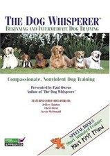 Beginning intermediate dog for sale  New Britain