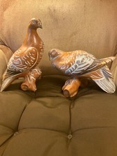 white pigeon pair for sale  Woodside
