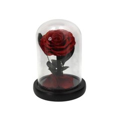 Cloche cúpula rosa vermelha preservada em vidro com base preta e caixa de presente comprar usado  Enviando para Brazil