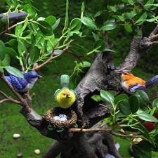 Piccolo uccellino resina usato  Spedire a Italy