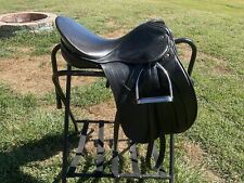 16.5 kieffer dressage for sale  Marthasville