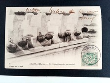 Trophee tetes coupees d'occasion  Venelles