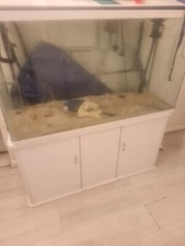 Beloved 4ft tank for sale  LONDON