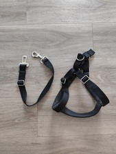 Sicherheitsgurt große hunde gebraucht kaufen  Zinnowitz