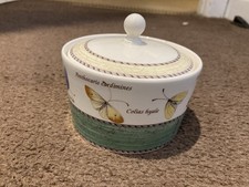 Sarahs garden sugar for sale  BRIGHTON