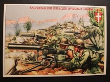 530 battaglione mitraglieri usato  Rubiera