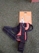 Rac advanced dog for sale  BATLEY