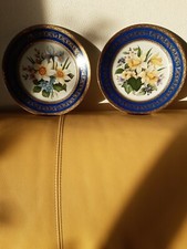 Paire assiettes porcelaine d'occasion  Amiens-