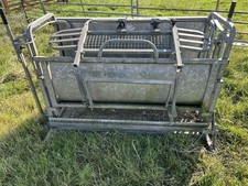 Iae sheep turnover for sale  SANDBACH