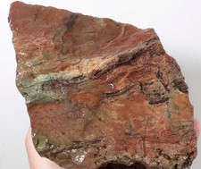 Hampton butte agatized for sale  Polson